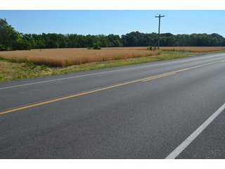 Property photo 39 - 108 +/- Acres Offered in 2 Tracts - Land Auction